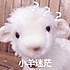小草莓j