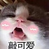 晚安甜心