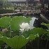 玲珑186