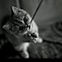 Miss__Q