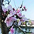 米诺厨房