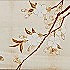一如既往zj