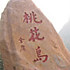 一见倾心9