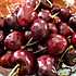 Cherrylamb