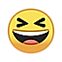 阁下大人