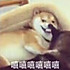 泉水超棒der
