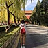 豆粉70223255