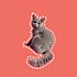 H_Tiffany