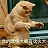 芸芸众生zkjq