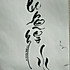 酱油鸡