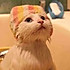 CatcatL