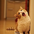 ℡_Ｍl.cｋy