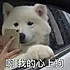 卢洛