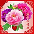 牡丹花lamp