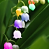 晴天275