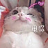 抗么北鼻快到碗里来
