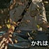 北瓜uvns