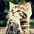 Jessie_H