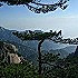 张道平