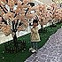 曦曦0327