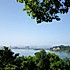子仪6