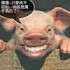 无耻＆上帝＆
