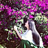 SunShine566