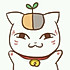 UQ猫先森