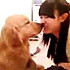 绿菜菜