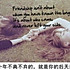 翡翠戒指虾