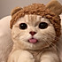 黑鼻头猫猫