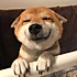 yojin