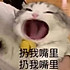 坛子mdjs