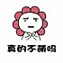 单丹0