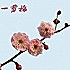 一剪梅