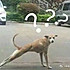 Joanna嘿嘿嘿