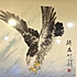 鹰91