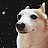 不二Juno