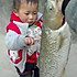 油渣