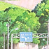 牛人小阿鑫