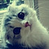 VSilver_