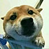 威海_字母哥