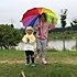豆粉467253