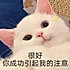 我去烤白薯