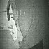 小卡treetree
