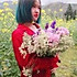 豆粉976495homy