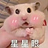 木鱼贝贝