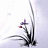 雨豆豆
