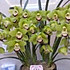悠悠02023