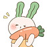 小兔子不爱胡萝卜🥕
